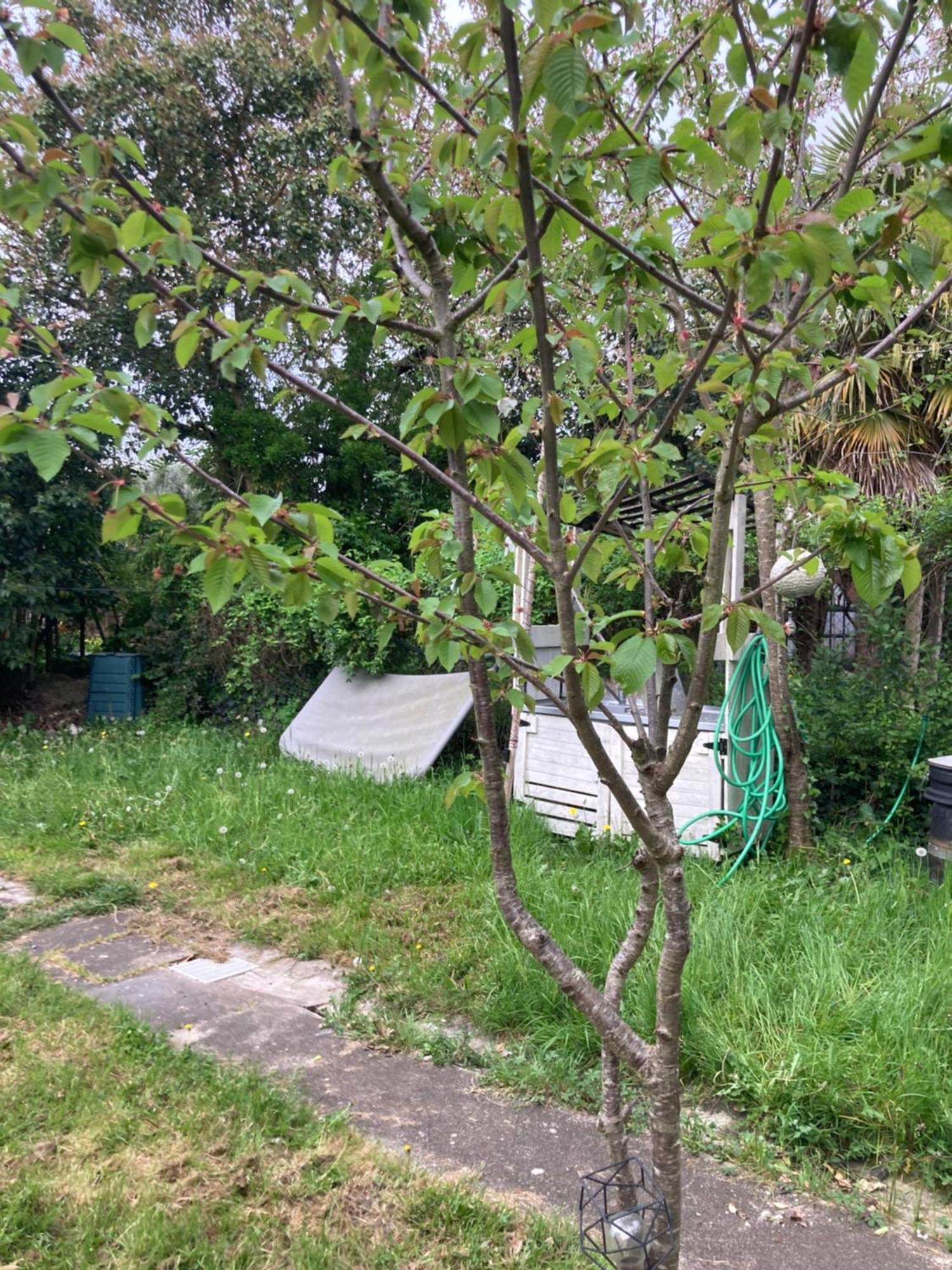 Maison De Campagne A La Ville Villeneuve-sur-Lot Exteriör bild